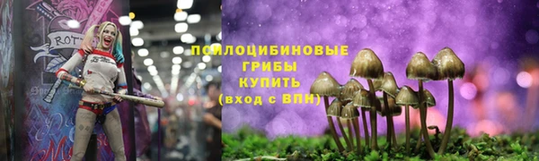 гидропоника Белоозёрский