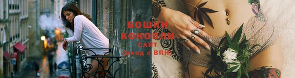 гидропоника Белоозёрский